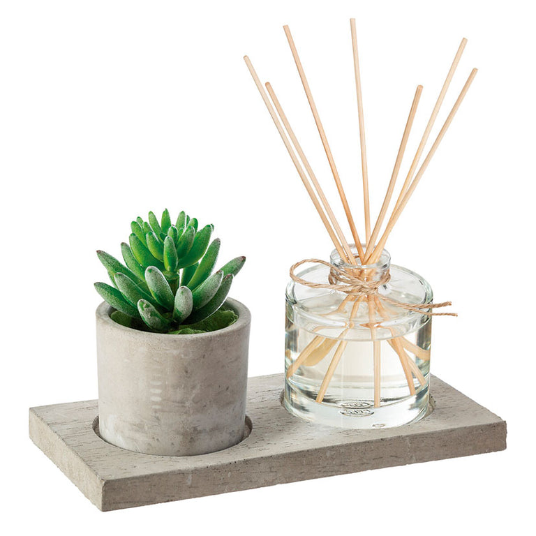 Difusor de fragancia con planta decorativa tipo cactus en maceta de cemento estilo industrial.