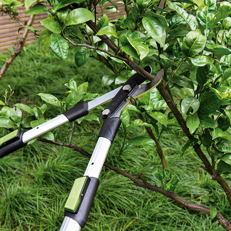 Uso real de la tijera podadora telescópica ForceGear cortando una rama en un árbol de jardín