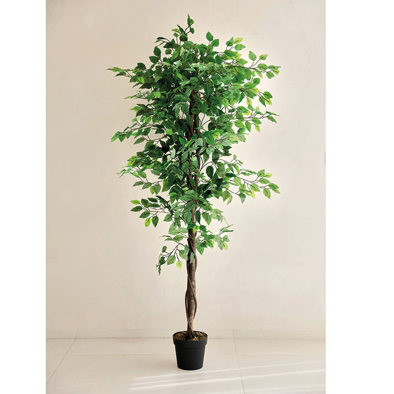 Ficus artificial Nature de 180 cm con tronco de madera natural y follaje denso