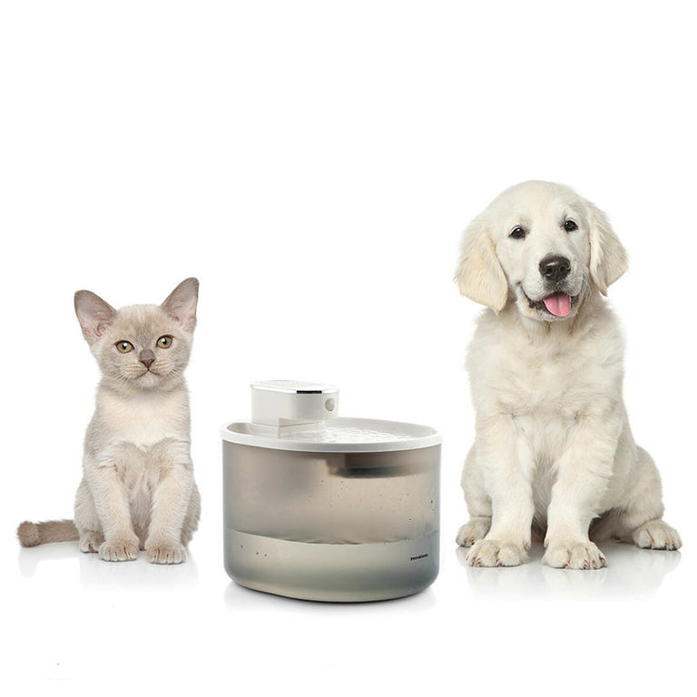 Fuente de Agua Automática 3L con Sensor para Gatos