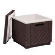 Nevera de Jardín Keter Ice Cube Marrón