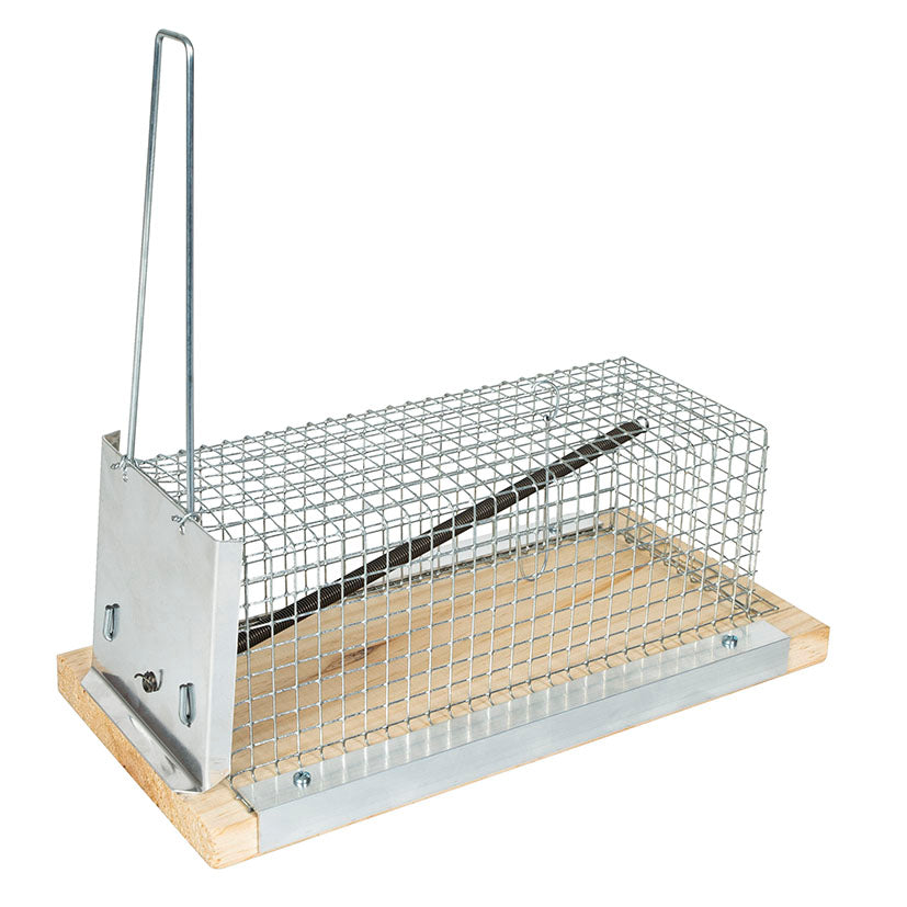 Jaula ratera de 21 cm con base de madera y malla metálica para captura viva de roedores