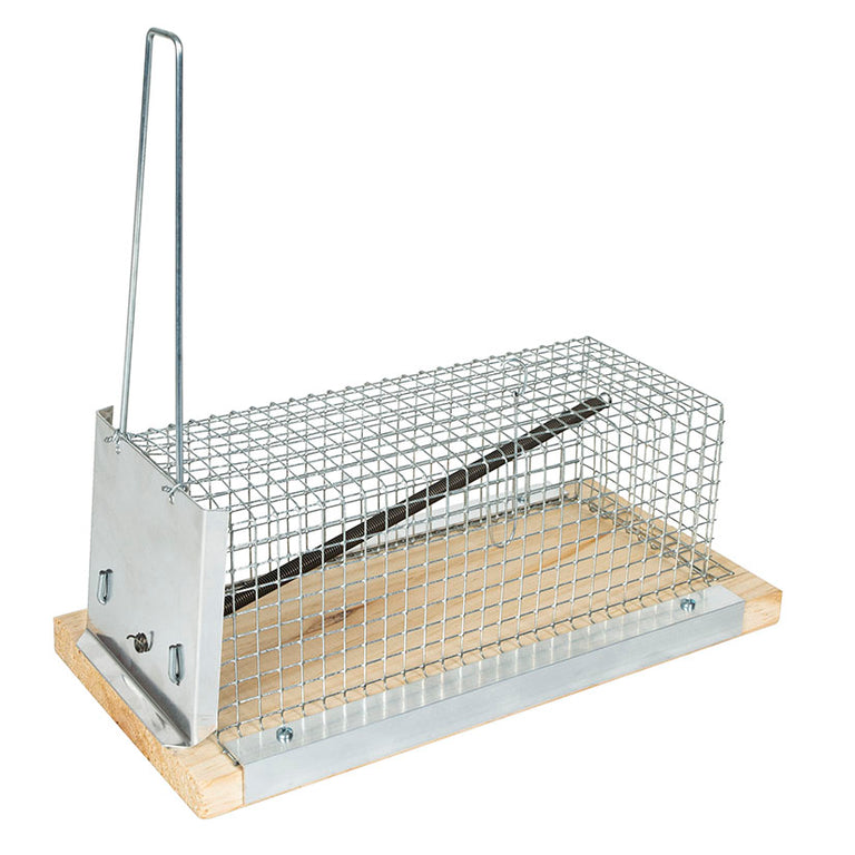 Jaula ratera de 21 cm con base de madera y malla metálica para captura viva de roedores