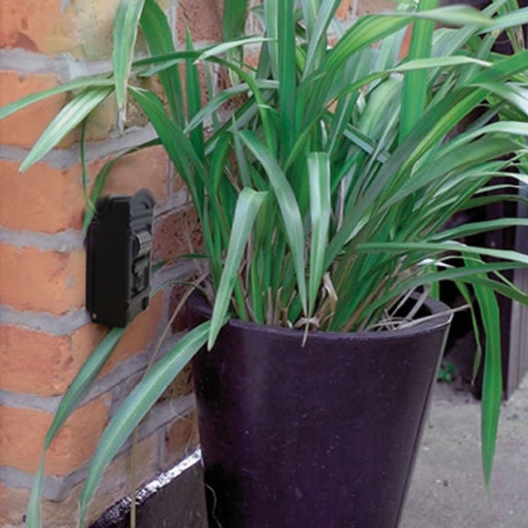 Caja de seguridad para llaves BTV instalada en pared exterior de ladrillo oculta tras vegetación.