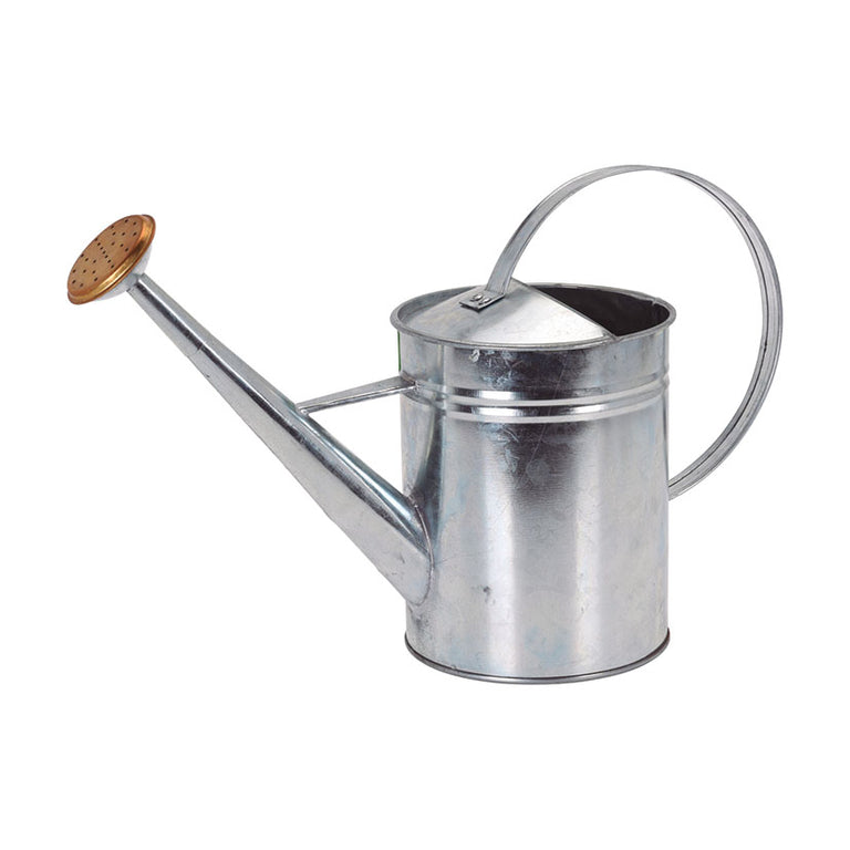 Regadera de metal galvanizado de 1,9 litros con diseño retro y roseta de riego efecto lluvia