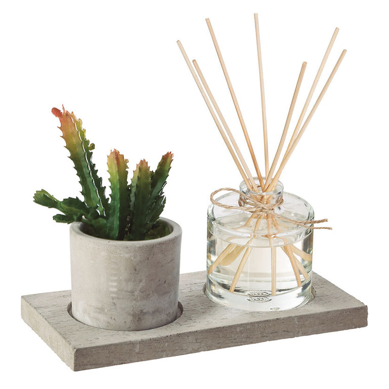 Set de difusor de aromas con varillas y planta suculenta artificial sobre base de cemento gris.
