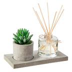 Difusor de fragancia con planta decorativa tipo cactus en maceta de cemento estilo industrial.