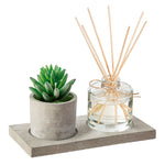 Difusor de fragancia con planta decorativa tipo cactus en maceta de cemento estilo industrial.