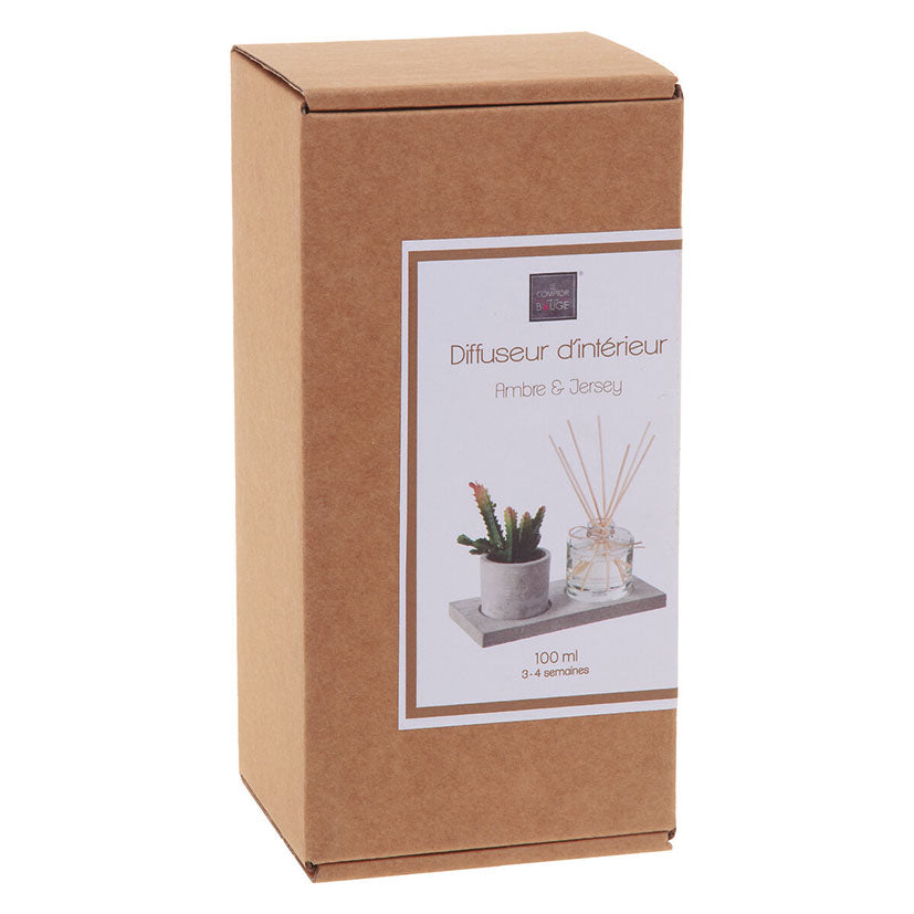 Caja de presentación del difusor de interior Le Comptoir de la Bougie con planta y base de cemento.