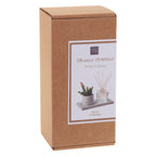 Caja de presentación del difusor de interior Le Comptoir de la Bougie con planta y base de cemento.