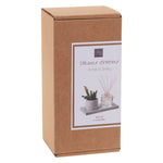 Caja de presentación del difusor de interior Le Comptoir de la Bougie con planta y base de cemento.