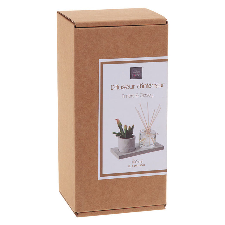 Caja de presentación del difusor de interior Le Comptoir de la Bougie con planta y base de cemento.