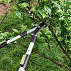 Uso real de la tijera podadora telescópica ForceGear cortando una rama en un árbol de jardín