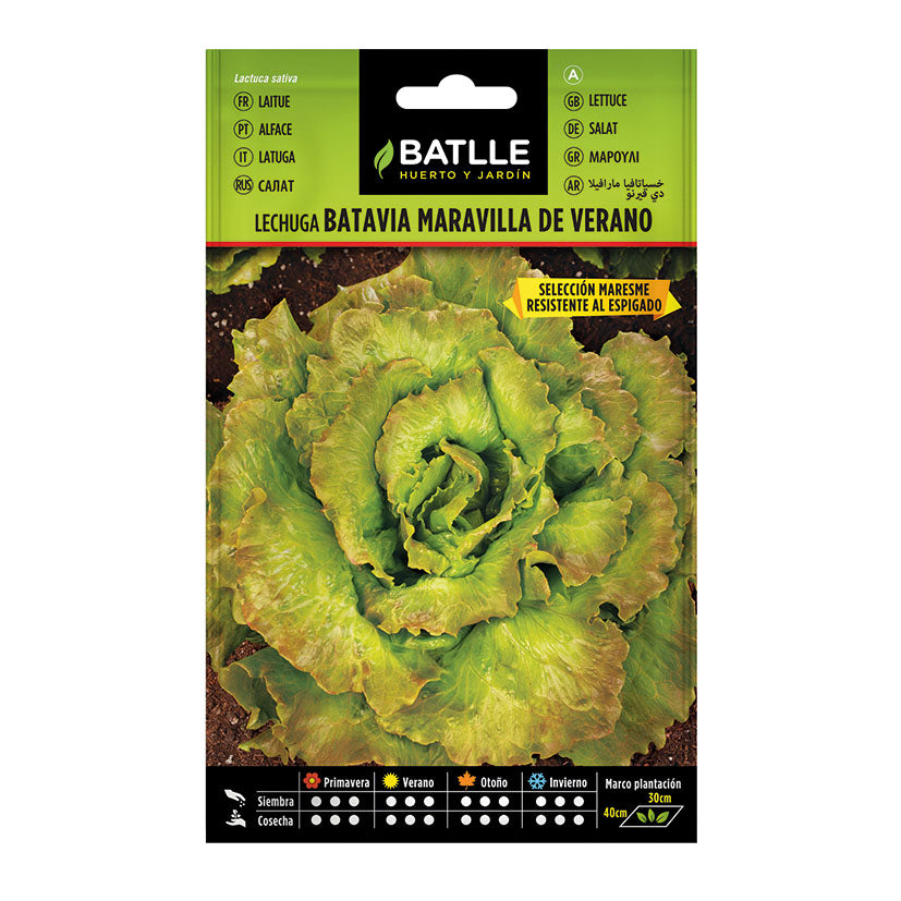 Semillas Batlle Batlle — Semillas