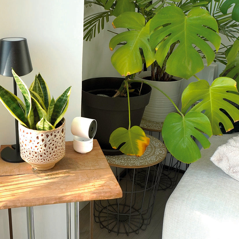 Cámara Wifi Motorizada Interior 4mp Sentinel Pro Energeeks — Seguridad