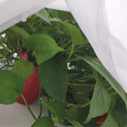 Manta Térmica de Cultivo Altadex 17g/m²