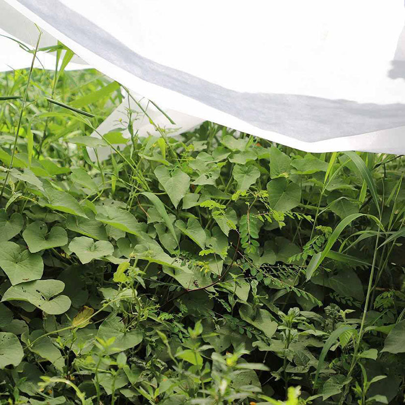Manta antiheladas cubriendo vegetación en huerto