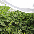 Manta antiheladas cubriendo vegetación en huerto
