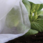 Detalle de tejido permeable de manta térmica sobre planta