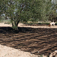 Manto Recolección Oliva y Almendra LISTA