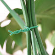 Abrazadera para Plantas LISTA Verde - Alambre TPR Suave