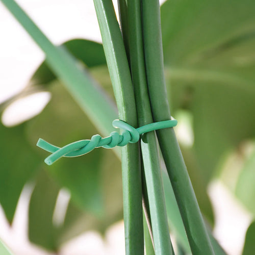 Abrazadera para plantas LISTA verde de alambre con recubrimiento TPR sujetando tallos de Monstera