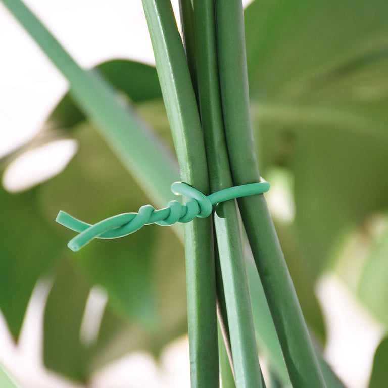 Abrazadera para plantas LISTA verde de alambre con recubrimiento TPR sujetando tallos de Monstera