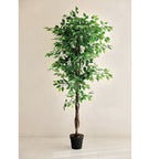 Ficus artificial Nature de 180 cm con tronco de madera natural y follaje denso