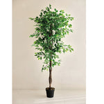 Ficus artificial Nature de 180 cm con tronco de madera natural y follaje denso