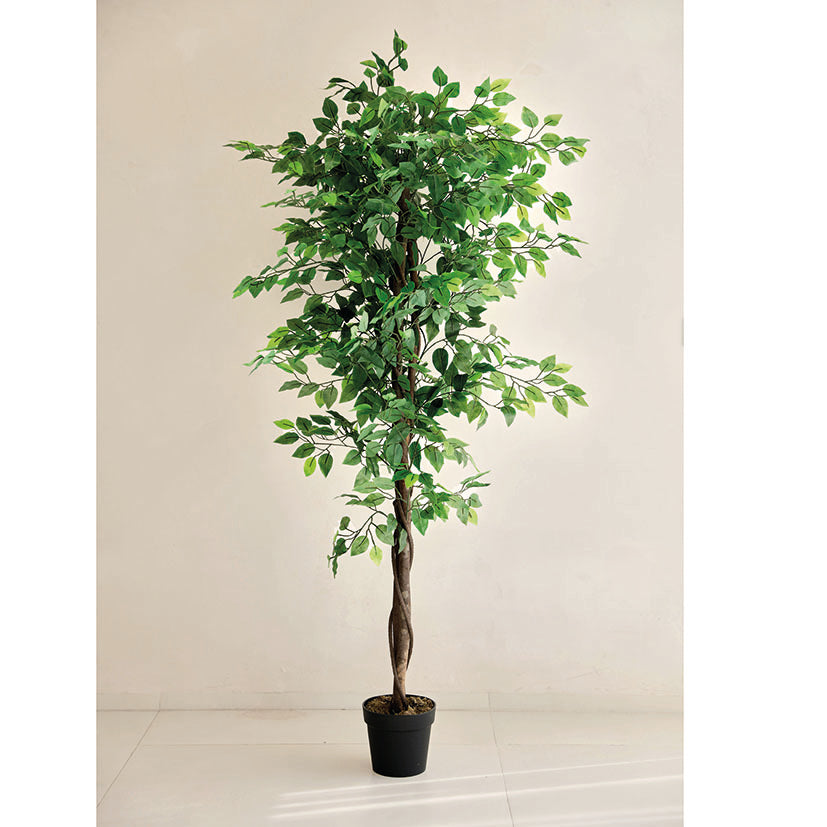 Ficus artificial Nature de 180 cm con tronco de madera natural y follaje denso