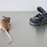 Ratonera Supercat. Swissinno — Insecticidas, Plaguicidas y Herbicidas