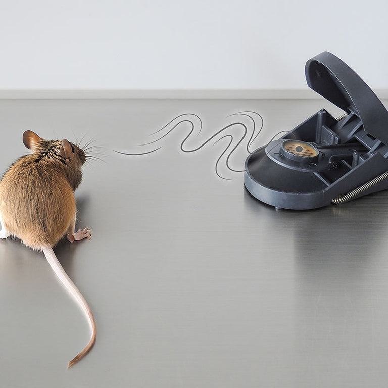 Ratonera Supercat. Swissinno — Insecticidas, Plaguicidas y Herbicidas
