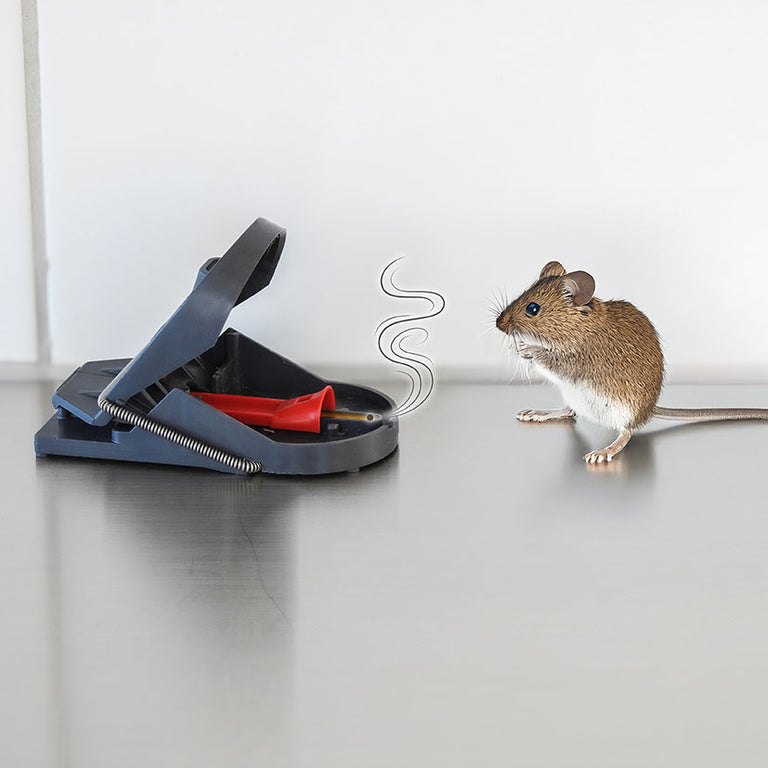 Ratonera Swissinno Supercat Pro Swissinno — Insecticidas, Plaguicidas y Herbicidas