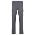 Pantalón de trabajo multibolsillos Ready gris con bolsillos laterales de carga y corte recto profesional.