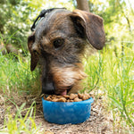 Perro comiendo pienso directamente del tapón azul de la botella de viaje para mascotas.