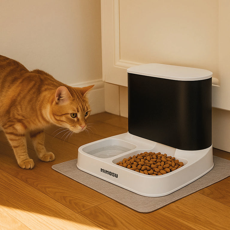 Gato doméstico utilizando el dispensador de comida y agua por gravedad JOCCA