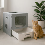 Arenero cerrado para gatos color gris con puerta transparente y gato naranja al lado