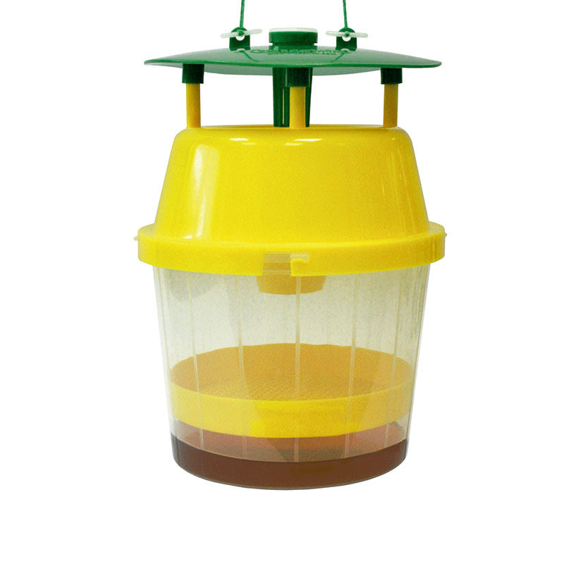 Trampa para avispa velutina de plástico amarillo y transparente con tapa verde y gancho para colgar.