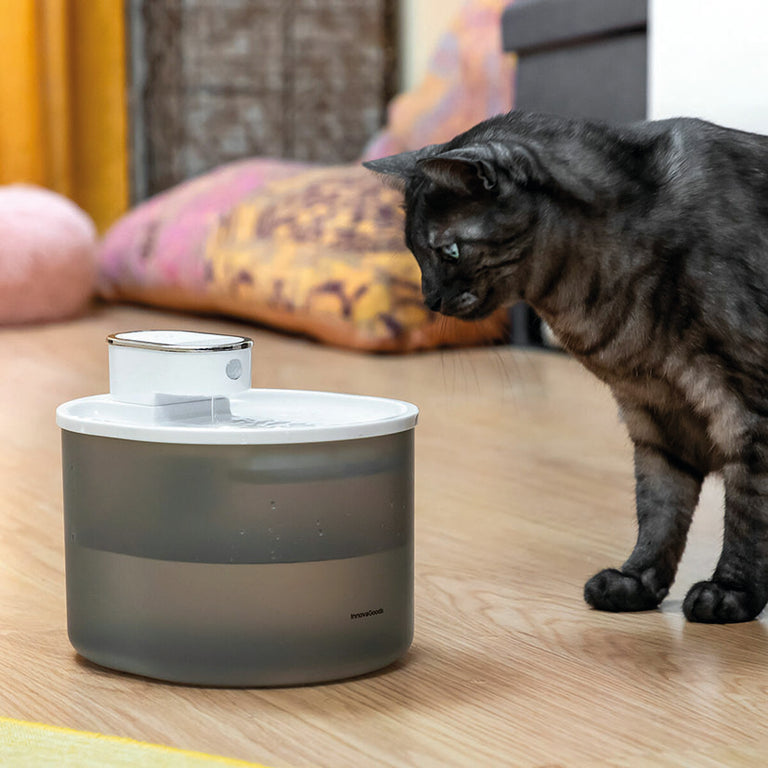Gato doméstico observando la fuente de agua automática con sensor de movimiento en el suelo.