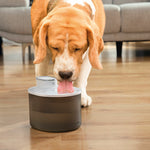 Perro de raza beagle bebiendo de la fuente de agua automática de 3 litros de capacidad.
