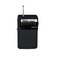 Radio Portátil AM/FM DUOLEC FM2596